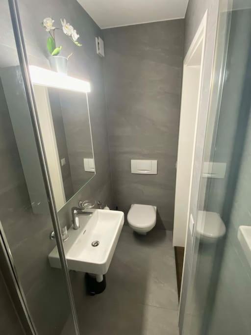 Apartment Beautiful Flat With And Mountain Views Weggis