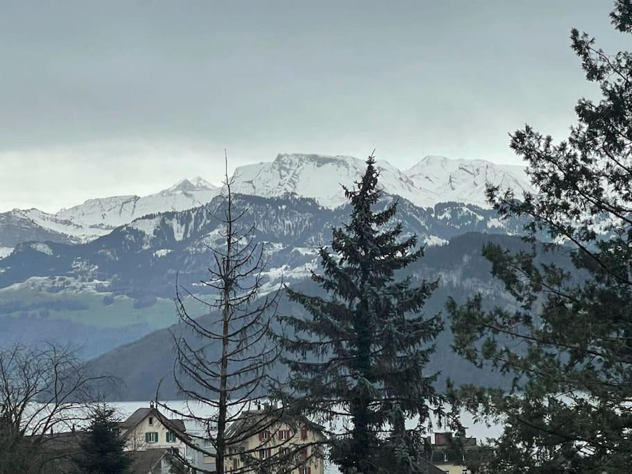Beautiful Flat With And Mountain Views Apartment Weggis