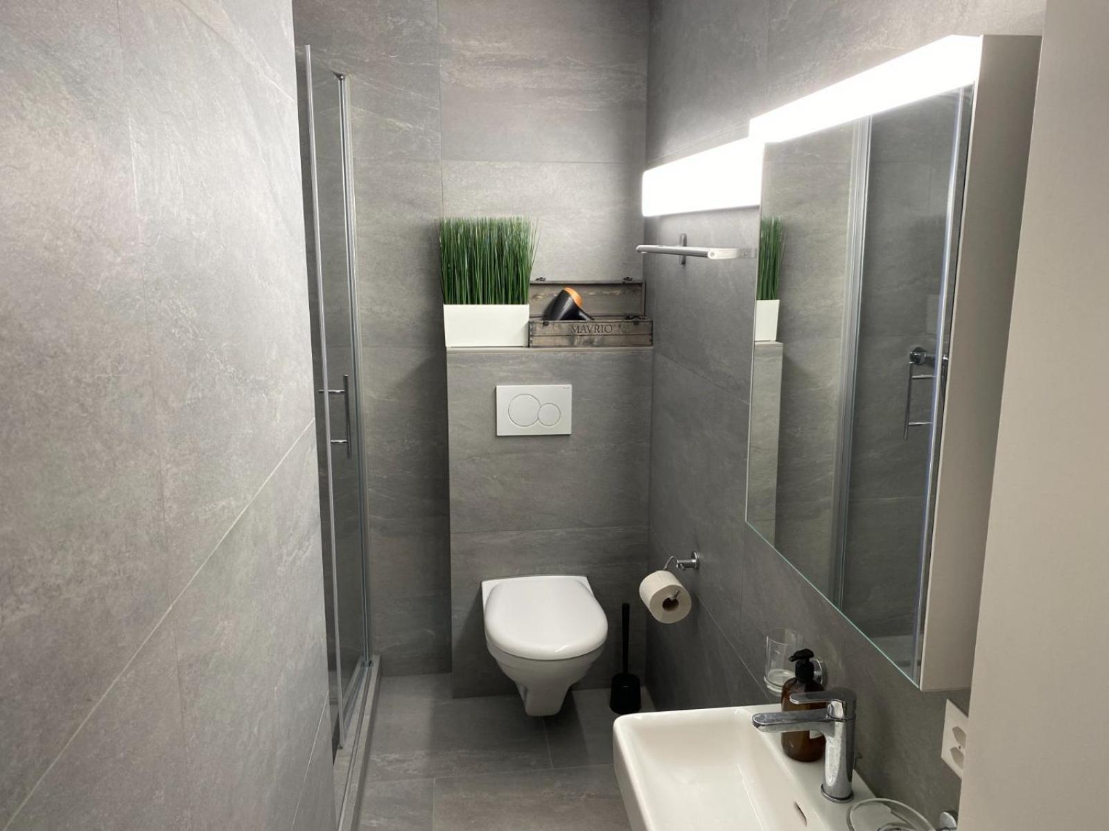 Beautiful Flat With And Mountain Views Weggis