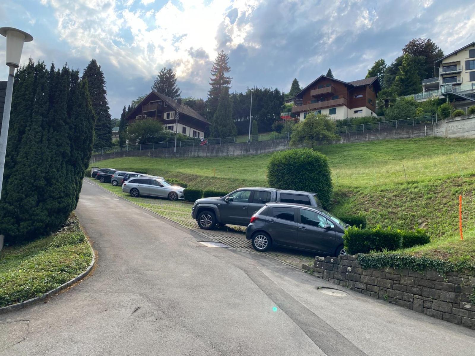 Beautiful Flat With And Mountain Views Apartment Weggis